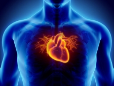 Trápí vás TĚŽKÉ NOHY nebo vysoký CHOLESTEROL?