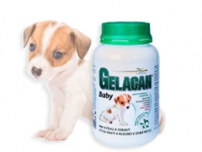 Gelacan Baby - MINERAL NUTRITION - 150 g - feed supplement