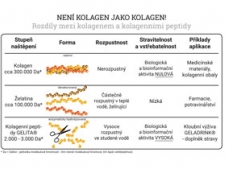 NENÍ KOLAGEN JAKO KOLAGEN