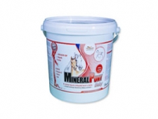 VLIV MINERALPONY® BABY SPECIAL A GELAPONY® BABY SPECIAL NA VÝVOJ ANGLICKÉHO PLNOKREVNÍKA V RŮSTOVÉM OBDOBÍ