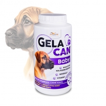 Gelacan Baby - prášek - 1000g