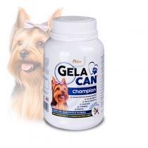 Gelacan Champion barevný - prášek - 150g