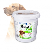 GELACAN® FAST - prášek - 5 kg