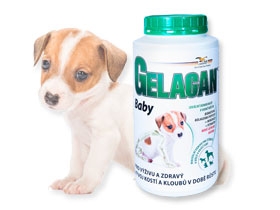 Gelacan Baby - prášek - 1000g