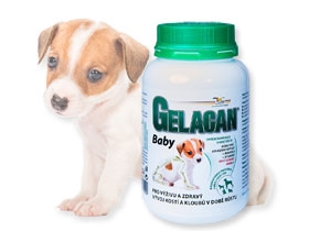 Gelacan Baby - prášek - 150g
