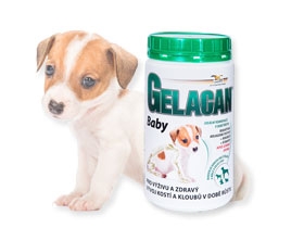 Gelacan Baby - prášek - 500g