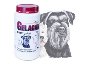 gelacan_champion_cernobily_500