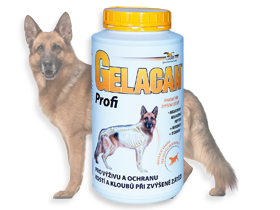 Gelacan Profi - prášek - 1000g