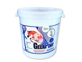 GELAPONY ARTHRO - 360 denních dávek, prášek - 10,8 kg
