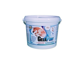 Gelapony Chondro