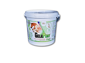 Gelapony Fast