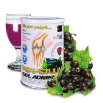 PERPETUUM GELADRINK® - černý rybíz, nápoj - 500g