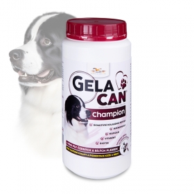 GC_ChampionCB_500g_web