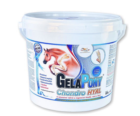 en_gp_chondro_hyal