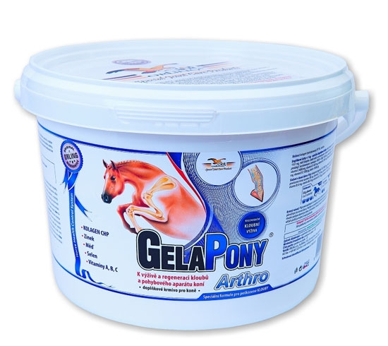 en_gelapony_arthro