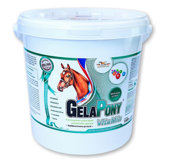 clanek_gelapony_vitamin